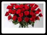 product_0007